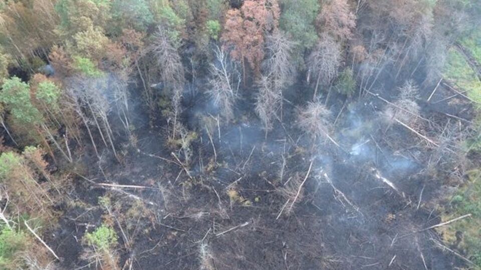 Пожарники в зоне отчуждения наблюдают за тлеющей лесной подстилкой
