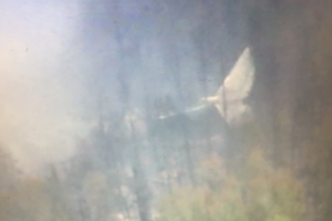 По предварительной версии, в двигатель самолета мог попасть горячий воздух от пожаров