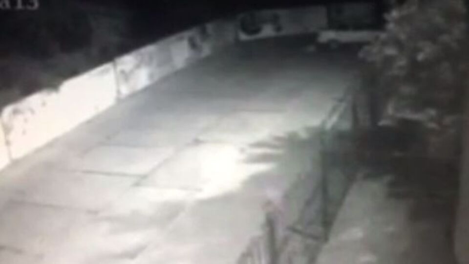 В результате инцидента Илья Кива не пострадал