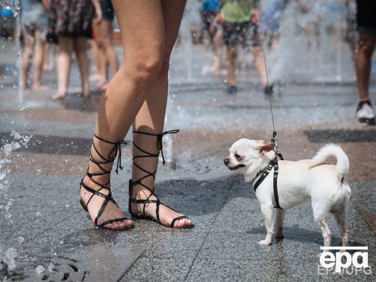 Июнь был сухим и жарким