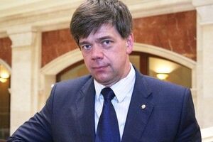 Адвокат Цыганков покинул страну вслед за своим клиентом