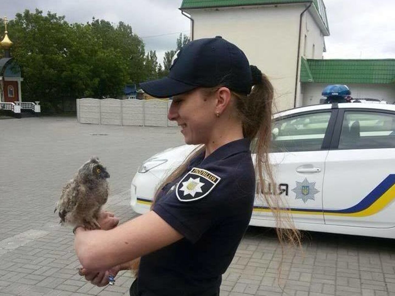 Совенка подобрали патрульные в одном из скверов Ровно