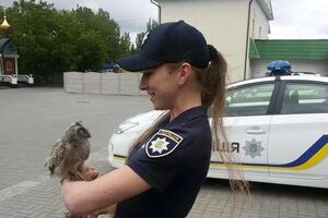Совенка подобрали патрульные в одном из скверов Ровно
