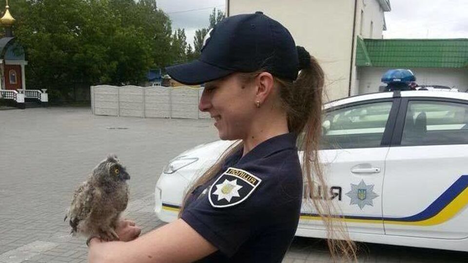 Совенка подобрали патрульные в одном из скверов Ровно