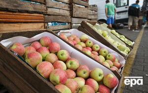 В РФ продолжают утилизировать импортные фрукты и ягоды