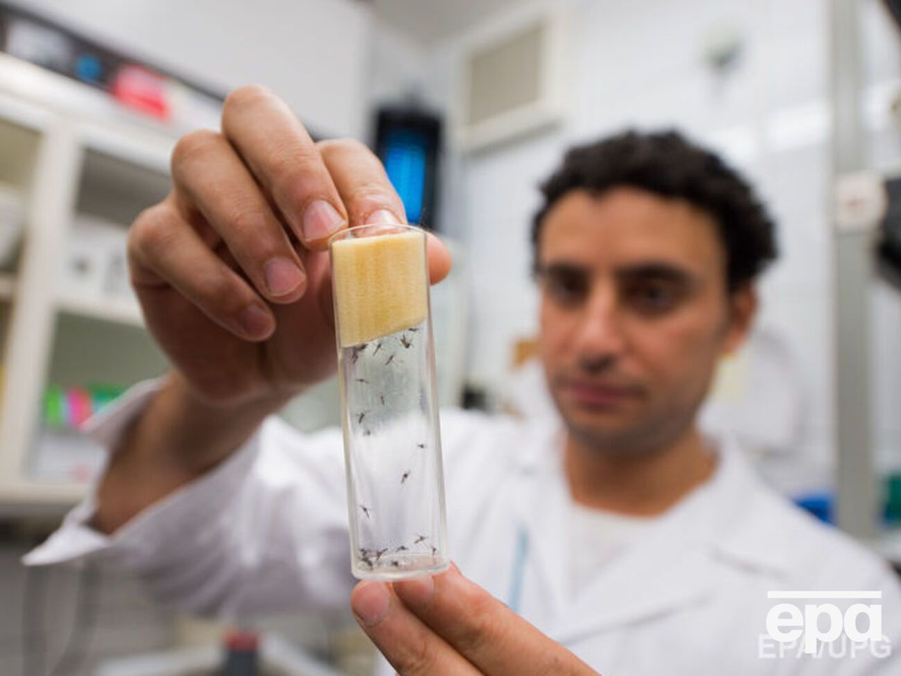 Зафиксирован&nbsp;первый случай смерти зараженного лихорадкой человека в континентальной части США