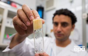 Зафиксирован первый случай смерти зараженного лихорадкой человека в континентальной части США