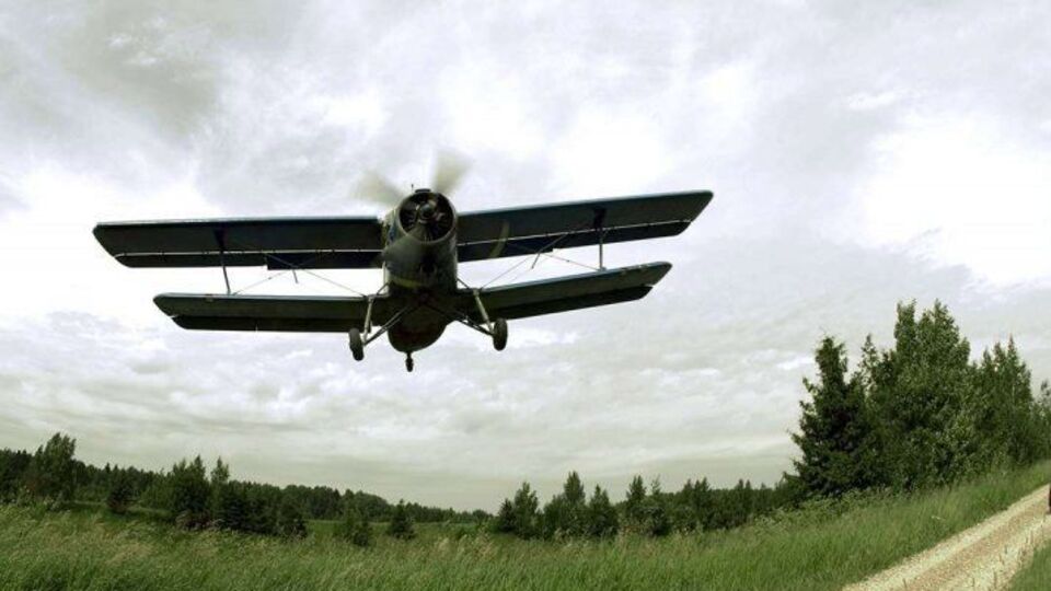 Самолет был найден в Кемеровской области