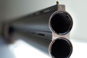 Инцидент со смертельным исходом произошел в Нежинском районе Черниговской области