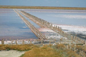 Группа диверсантов со взрывчаткой якобы собиралась попасть в оккупированный Крым через Сиваш