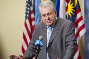 Ельченко: У нас остается возможность в любой момент созвать или консультацию, или открытое заседание Совбеза ООН