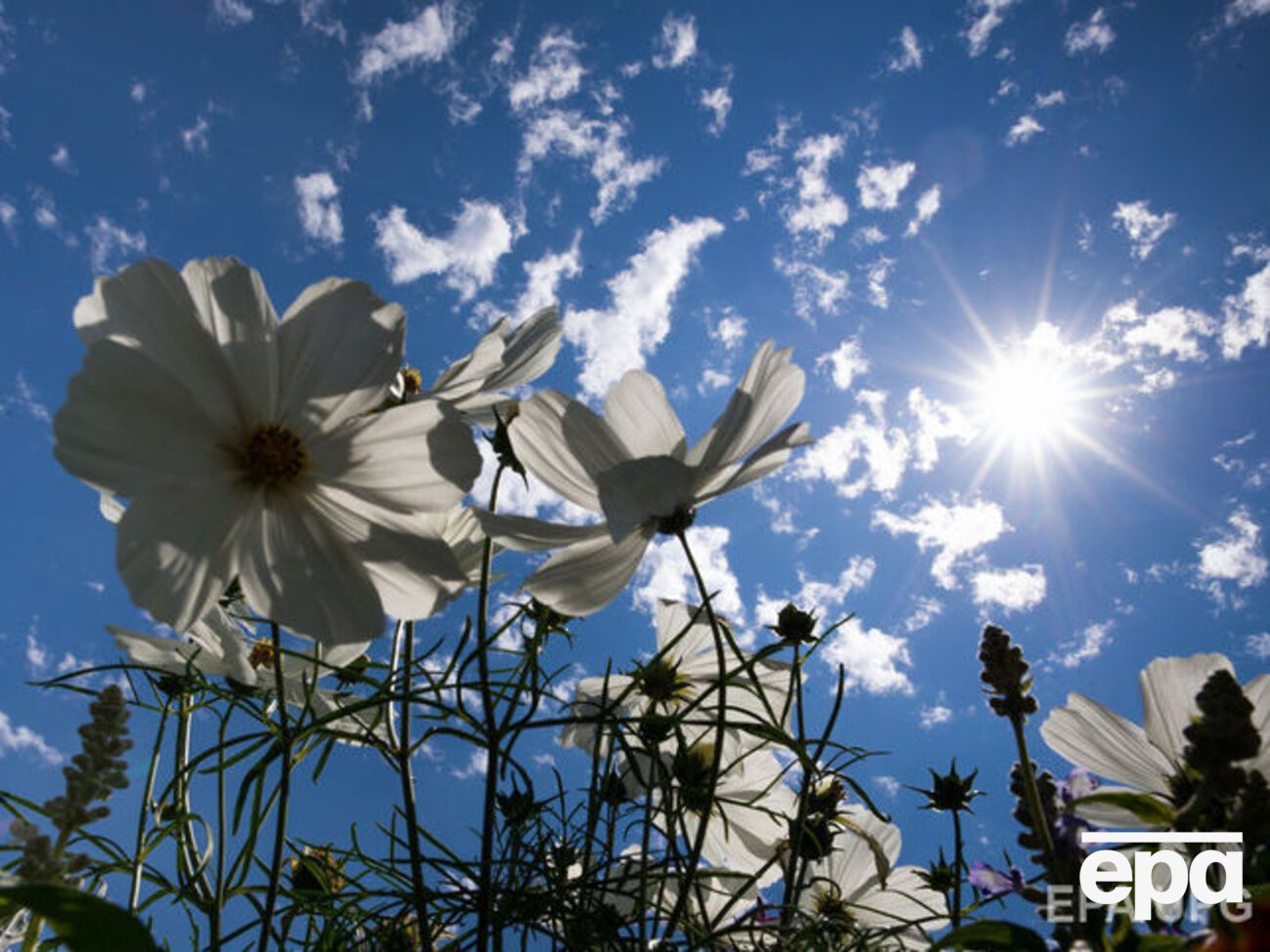 В Украину вернется хорошая погода