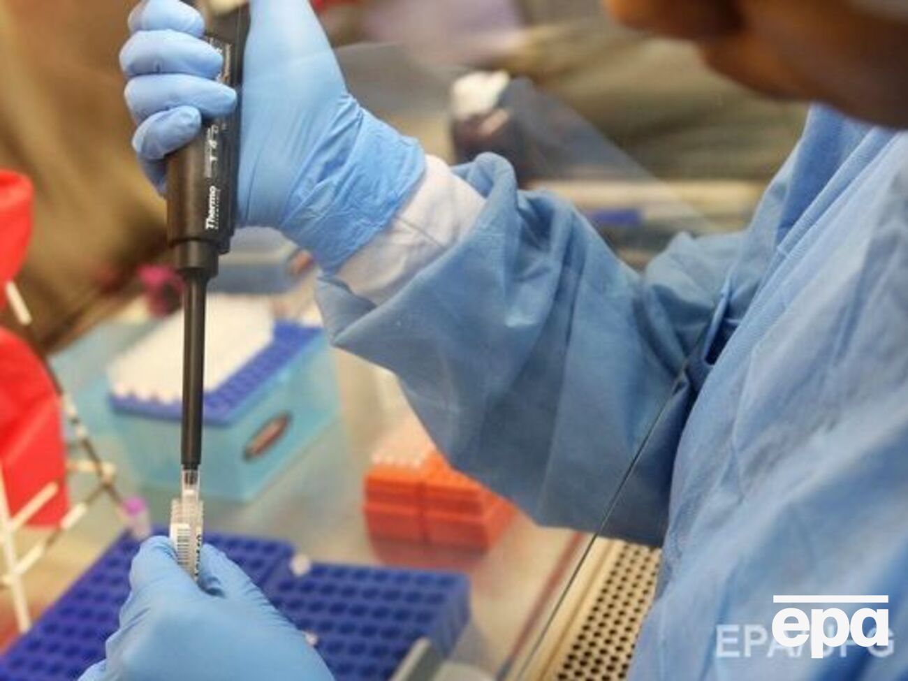 По состоянию на 12 августа в Пуэрто-Рико зарегистрировано 10690 лабораторно подтвержденных случаев заболевания вирусом Зика