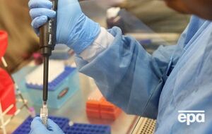 По состоянию на 12 августа в Пуэрто-Рико зарегистрировано 10690 лабораторно подтвержденных случаев заболевания вирусом Зика