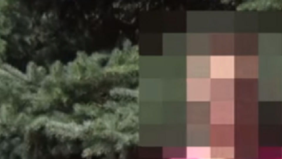 Бывший боевик – бандформированиям на востоке Украины: За все сделанное придется когда-нибудь отвечать