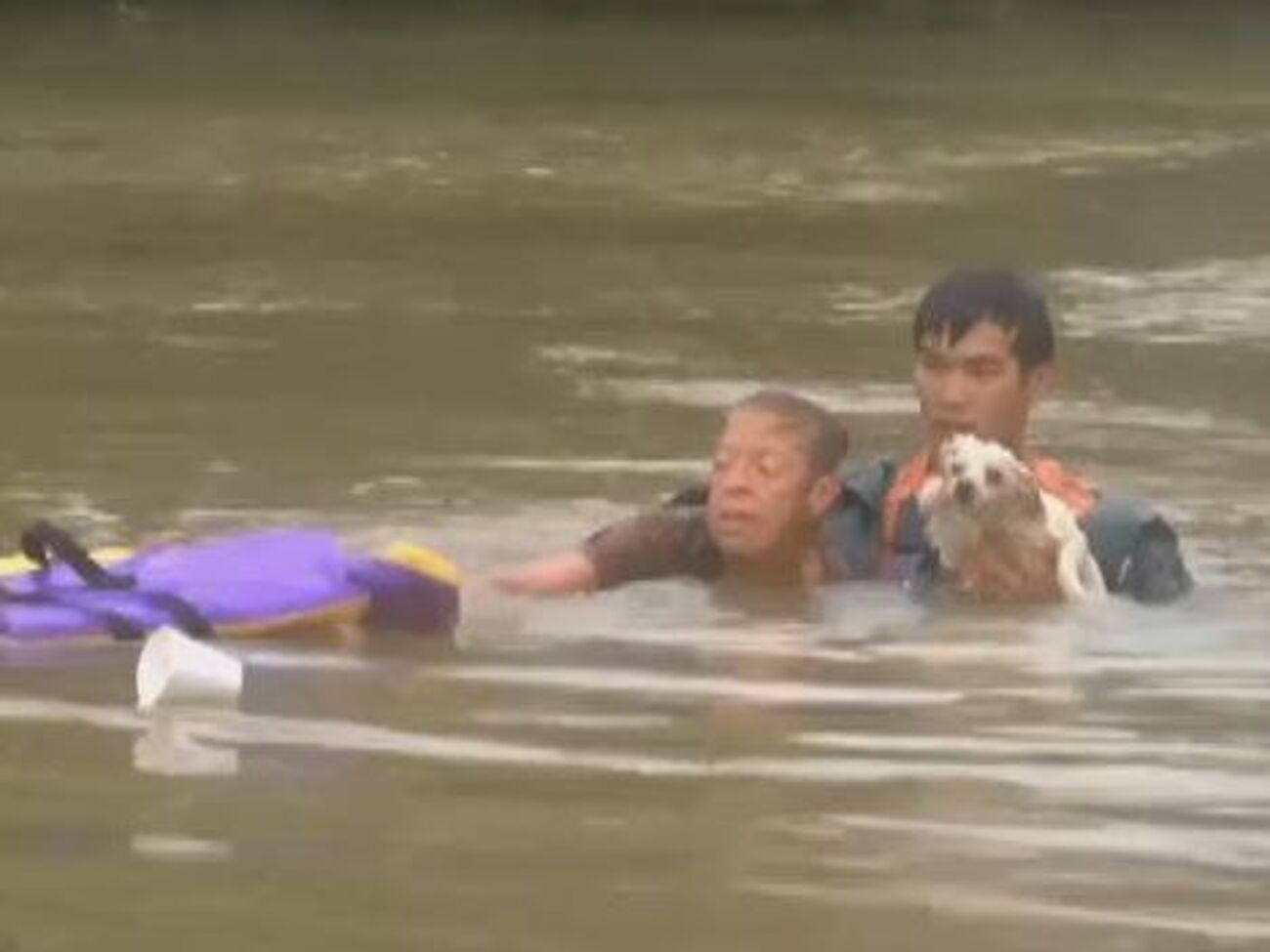 Спасатели вытащили из тонущего авто женщину и собаку