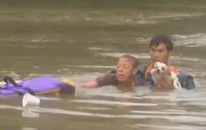 Спасатели вытащили из тонущего авто женщину и собаку