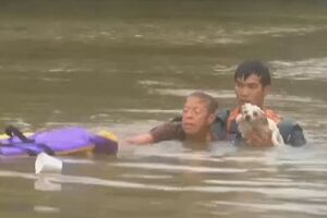 Спасатели вытащили из тонущего авто женщину и собаку