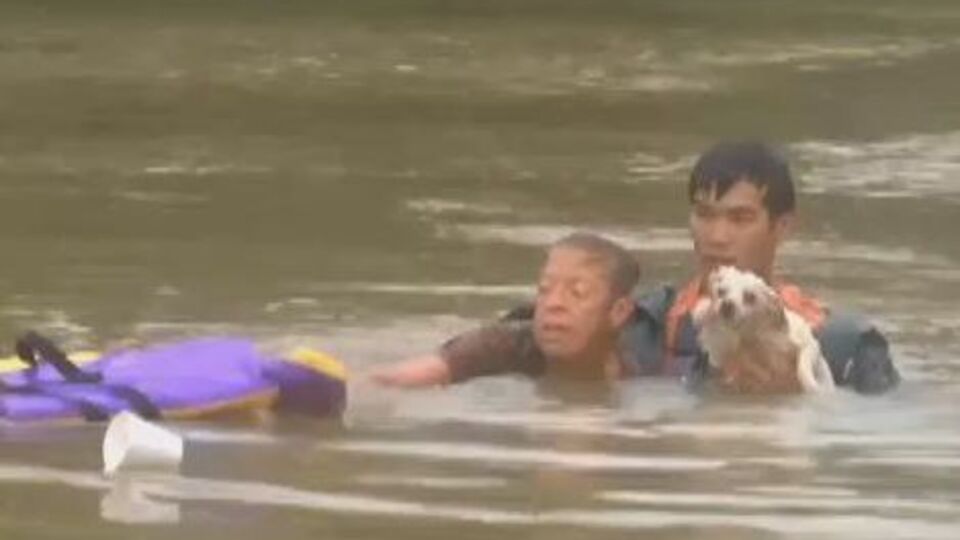 Спасатели вытащили из тонущего авто женщину и собаку