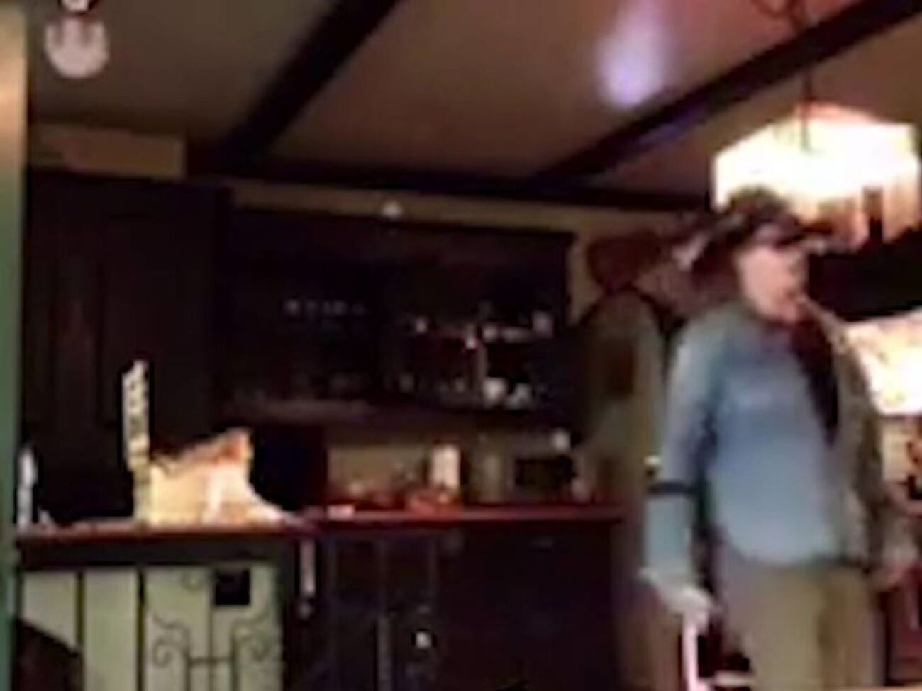 По сообщению источника TMZ, на видео запечатлены Депп и Херд