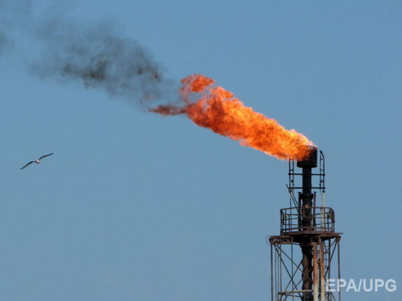 Стоимость нефти поднялась выше $50