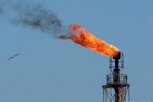 Стоимость нефти поднялась выше $50