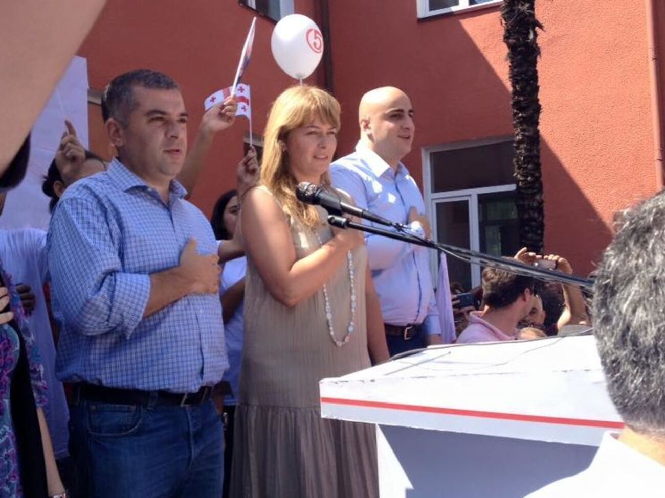 Рулофс баллотируется в грузинский парламент