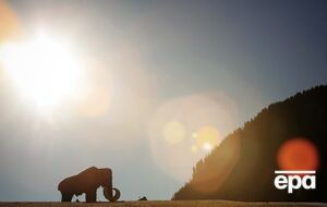 Мамонты вымерли из-за нехватки питьевой воды, считают ученые