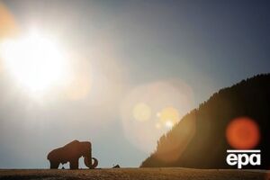 Мамонты вымерли из-за нехватки питьевой воды, считают ученые
