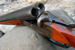 Полицейский проверял, является ли ружье заряженным