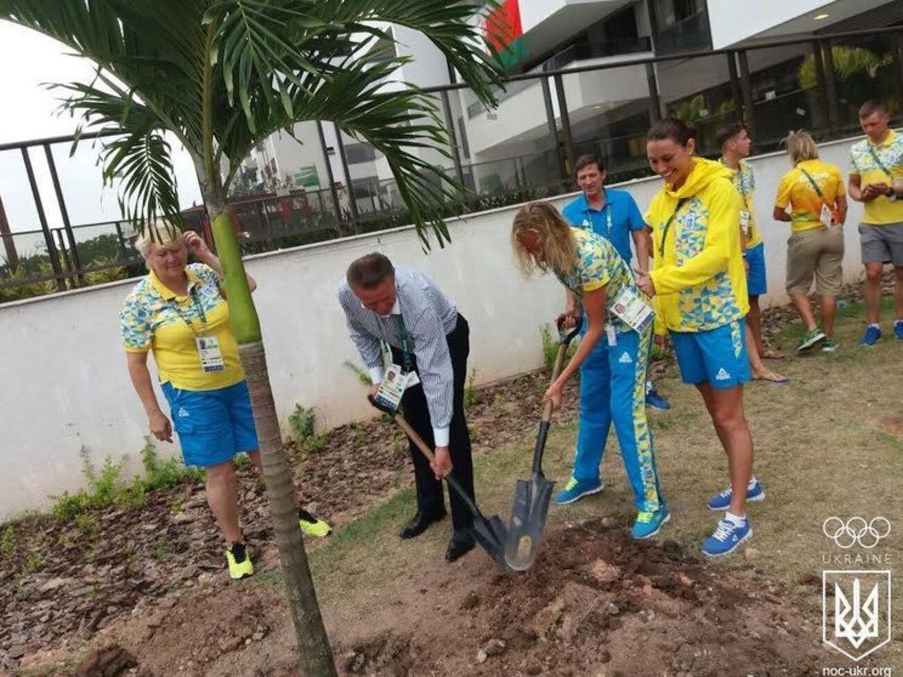 Украинские спортсмены&nbsp;высадили дерево неподалеку от дома, где живет сборная Украины в&nbsp;Олимпийской деревне в Рио