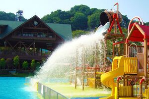 Неизвестный травмировал девушек в бассейне