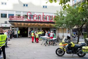 В результате инцидента пострадали 15 человек