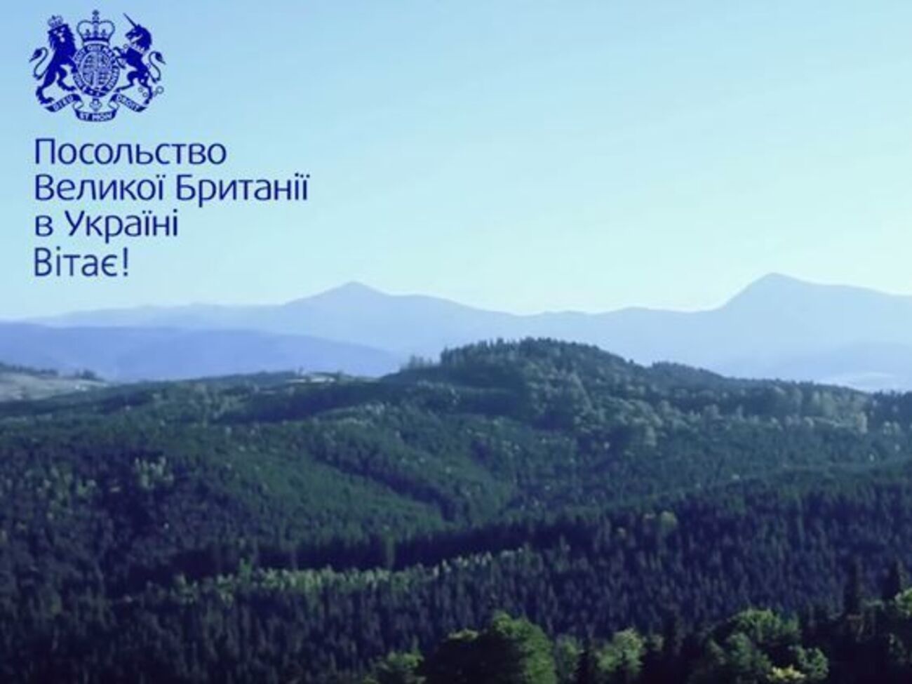 "Строки Лины Костенко чрезвычайно поэтичны и правдивы", отмечают в миссии