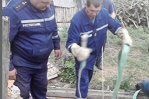 С помощью веревок жеребенка удалось поднять из колодца