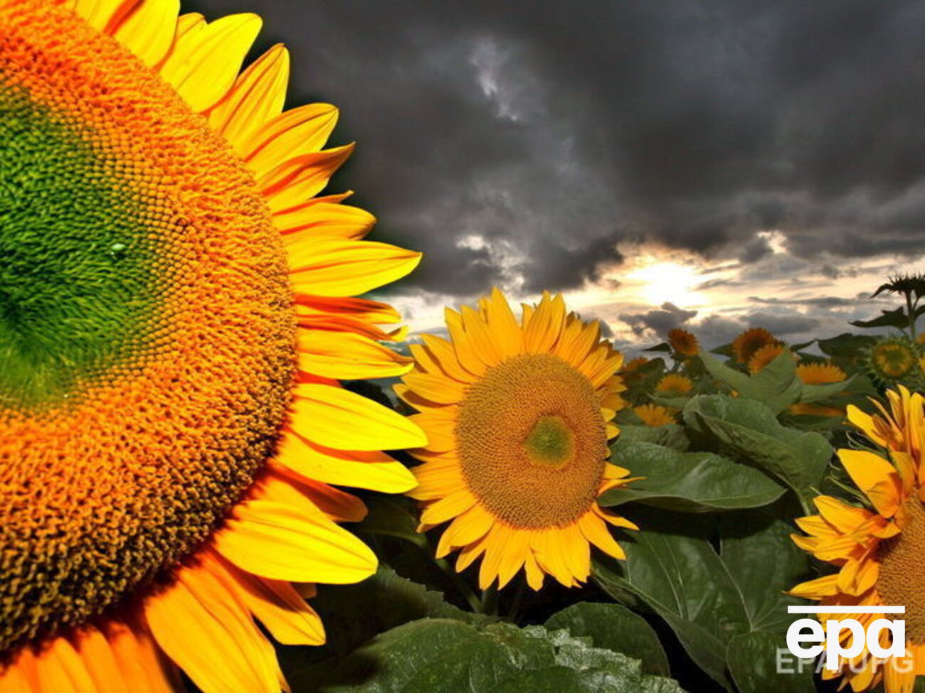 В Украине удерживается жаркая погода