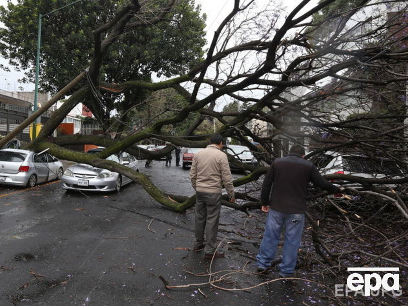 Ураган бушевал в Чечне