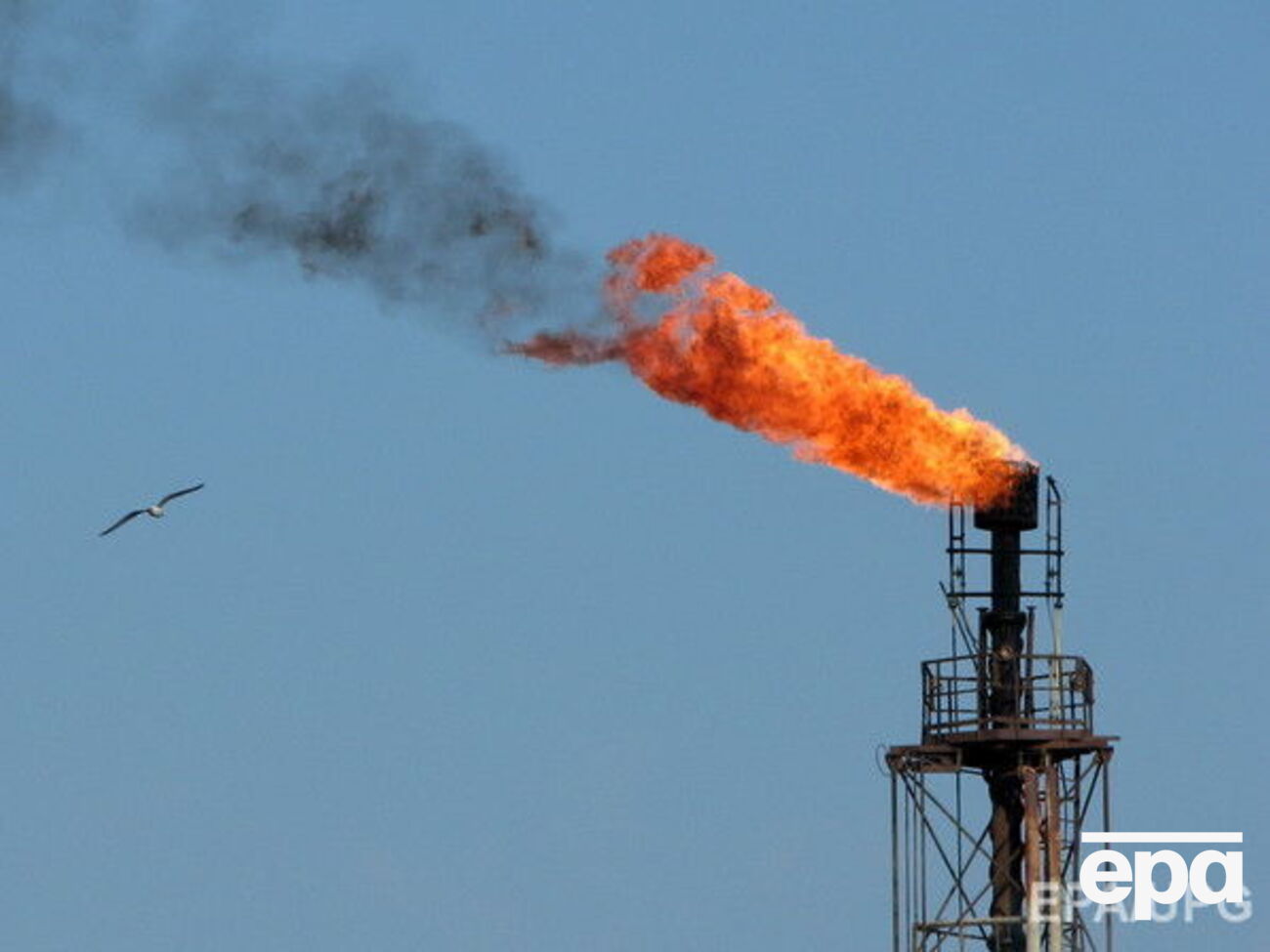 Brent подорожала в ожидании отчета о запасах нефти в США