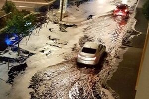 Пожарным понадобилось полчаса, чтобы очистить улицу от вина