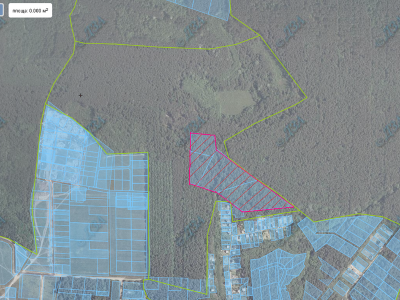 Земля принадлежала "Киевскому лесному хозяйству"