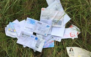 Письма валялись в лесу