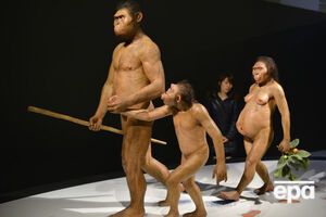 Исследователи подтвердили, что афарские австралопитеки были прямоходящими