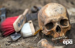 Останки оказались настоящими