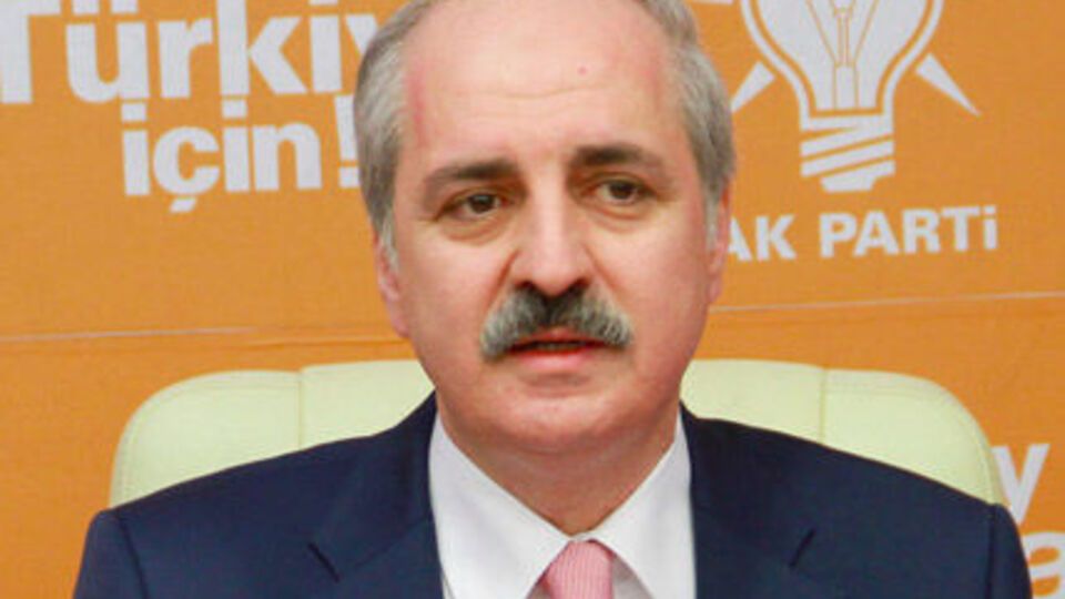 Вице-премьер Турции Куртулмуш: В Турции задержаны 10 иностранцев