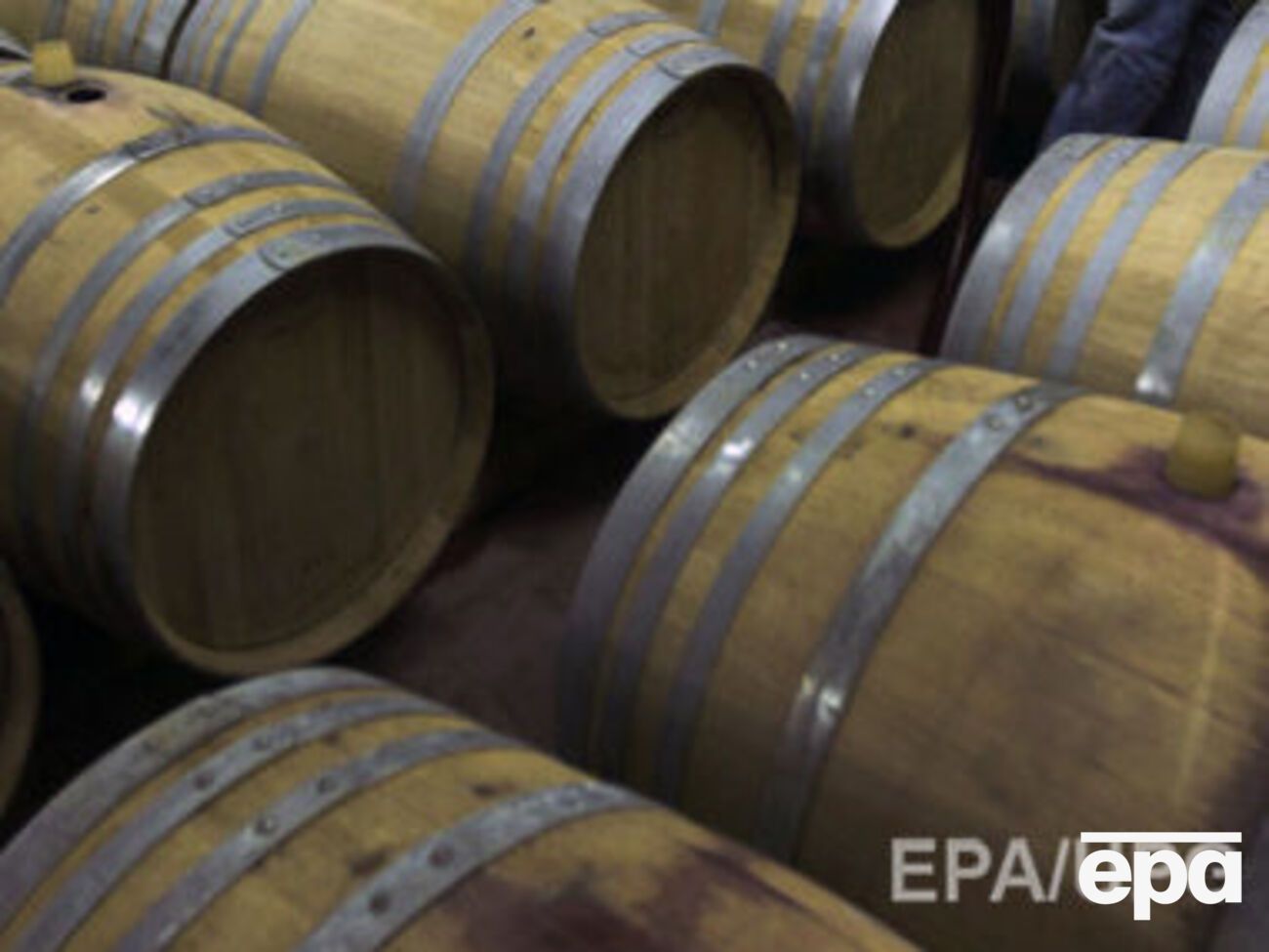 Производство вина может начаться в 2017 году