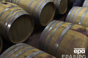 Производство вина может начаться в 2017 году