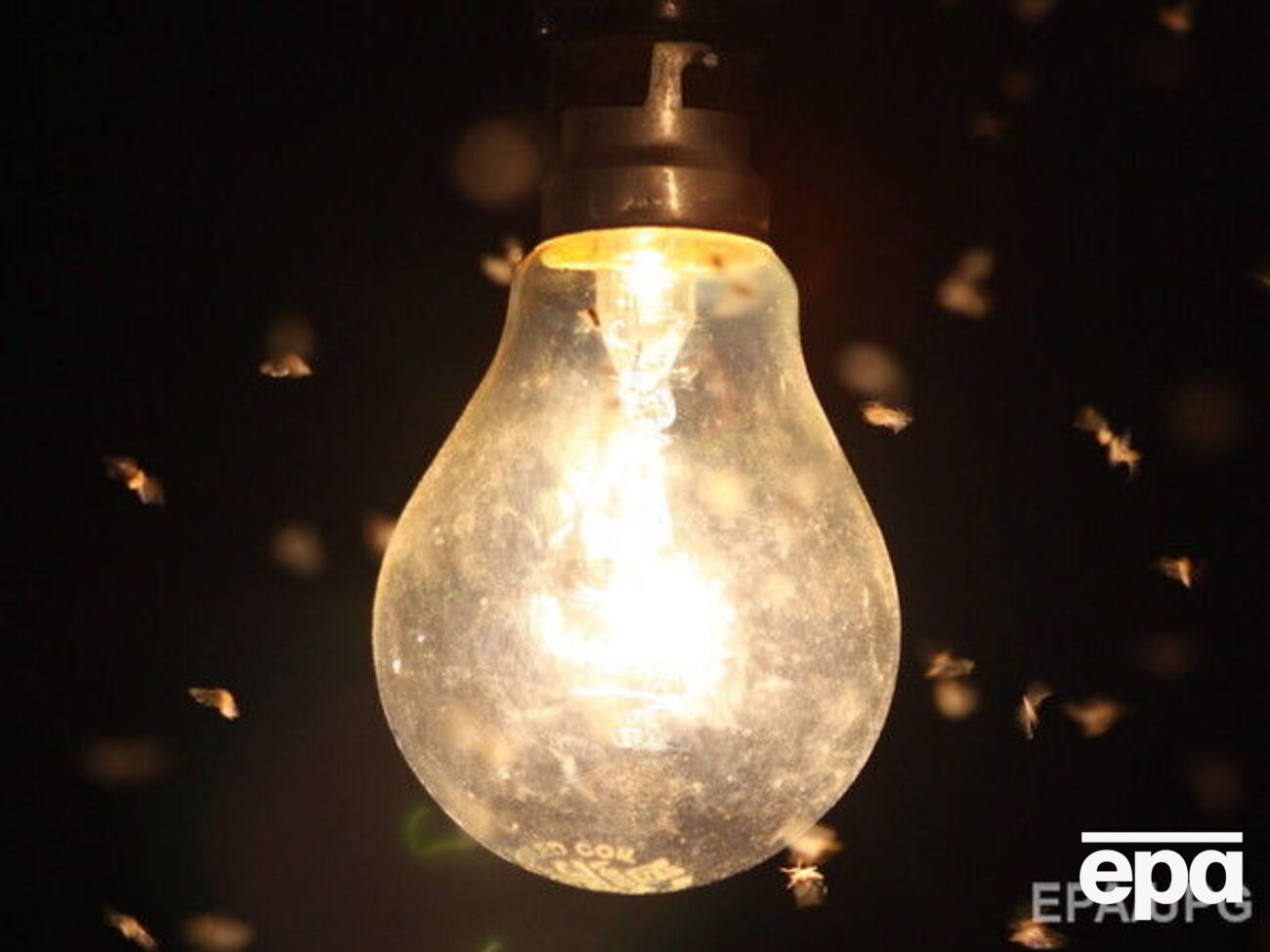 Электричество снова подорожало