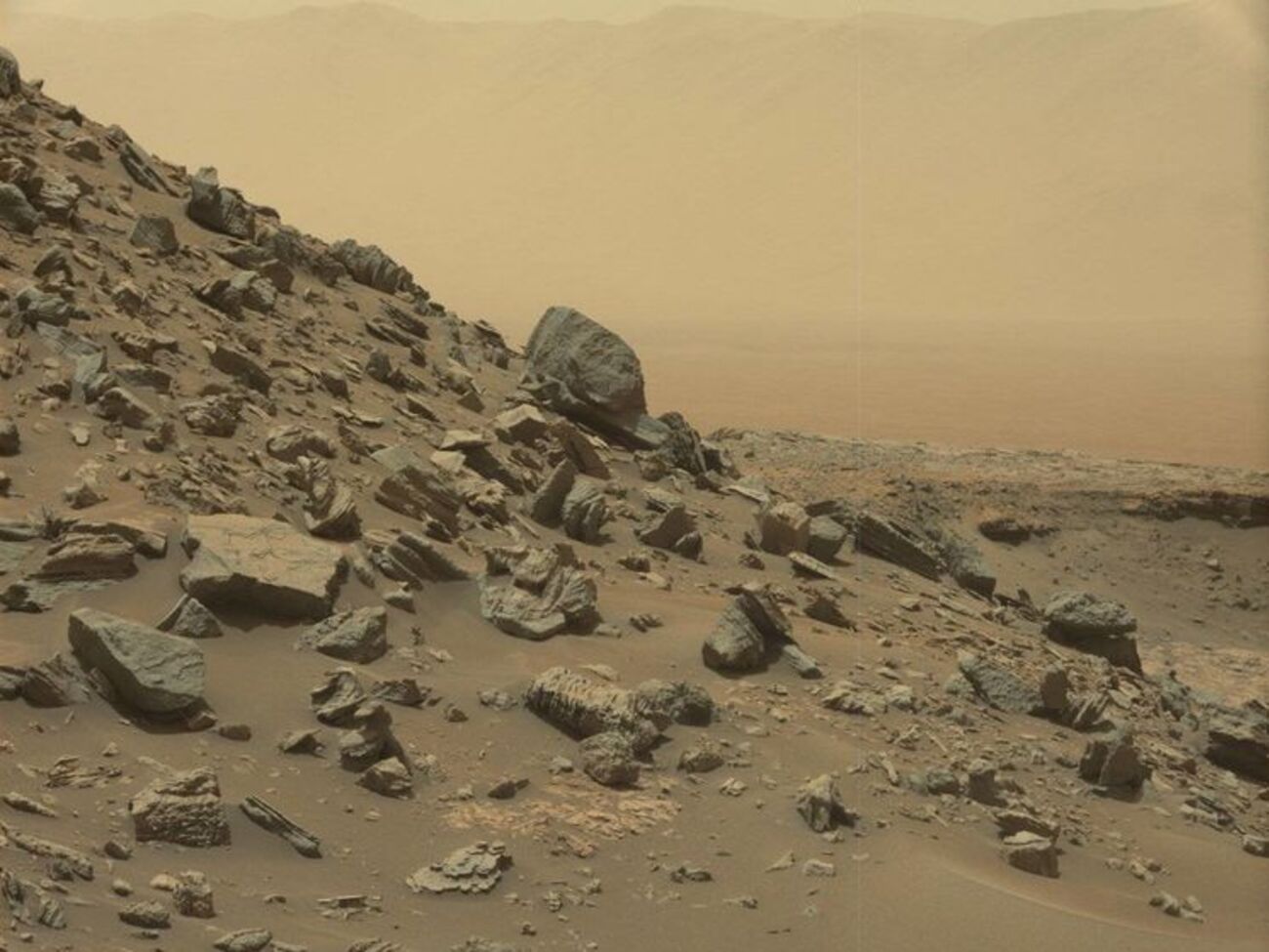 NASA обнародовало фото скал Марса
