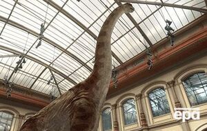 Пользователи приложения могут посетить десятки палеонтологических музеев мира