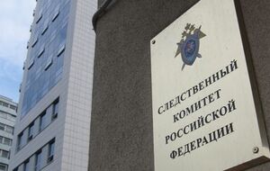 В СК РФ отметили, что якобы под руководством Рицко группа подростков в составе семи человек организовала восемь взрывов в городе Ясиноватая